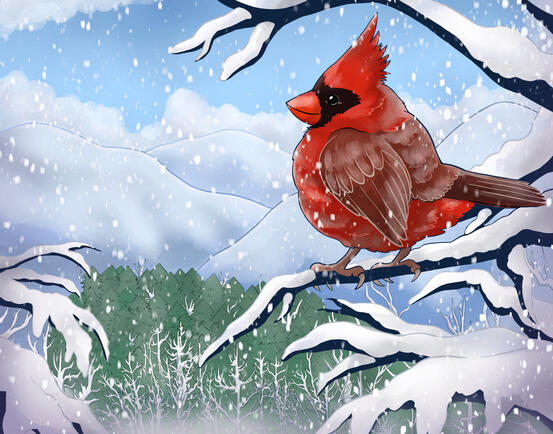 RedBird RedBird